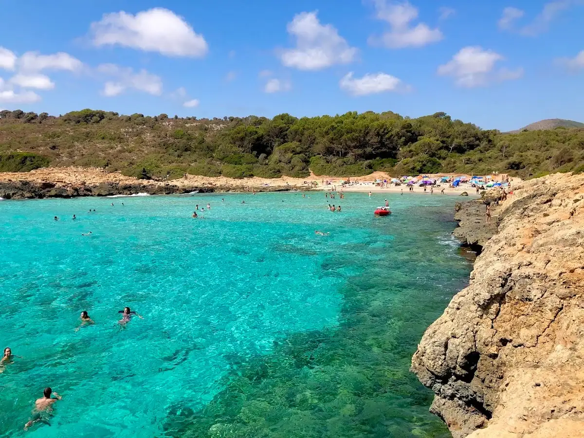 Unspoiled beach of Cala Varques with turquoise waters and pine trees